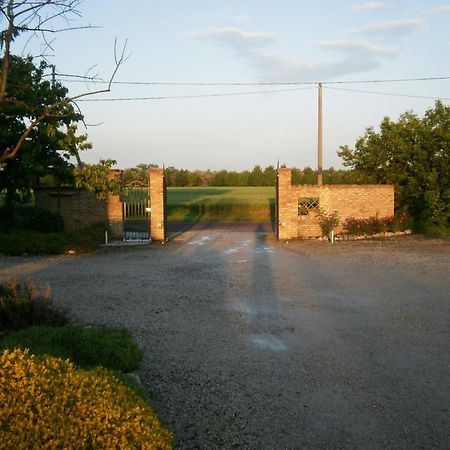 Agriturismo La Cascinetta Pieve di Cento Ngoại thất bức ảnh